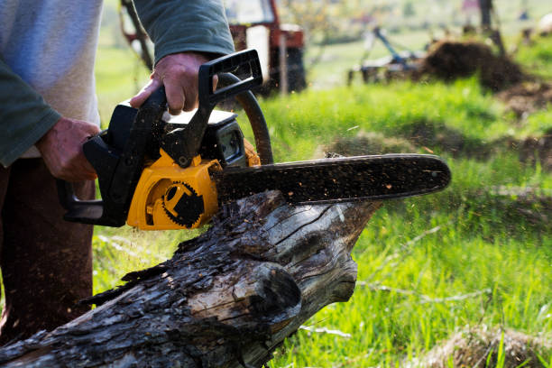 Best Lawn Watering Services  in Langley, WA